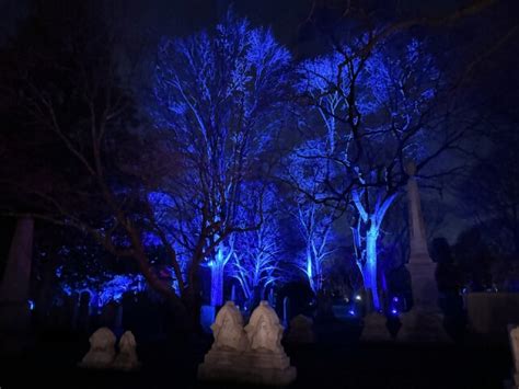 SOLSTICE – Mount Auburn Cemetery